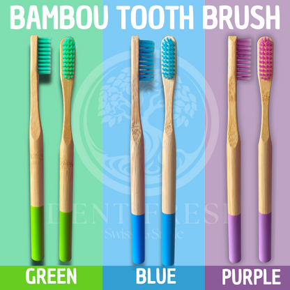 Brosse à dents en bambou – écologique, durable, et efficace